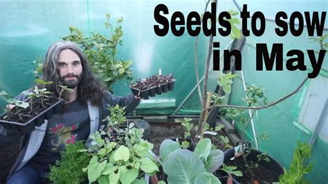 May seeds onlyfans - Dispensing tiny seeds for planting can be a tedious task. Watch this video to see out how to pick up and plant small seeds individually. Expert Advice On Improving Your Home Videos...